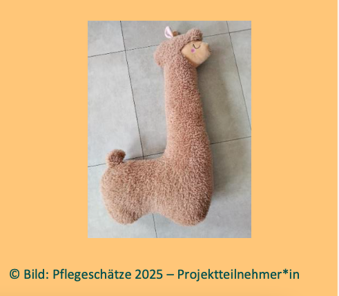 Seitenschläfer Lama als Lagerungshilfe